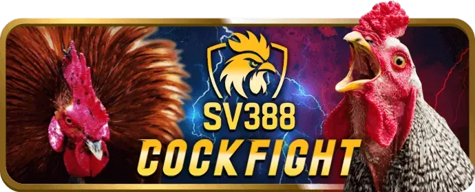 Hỗ trợ khách hàng 69win